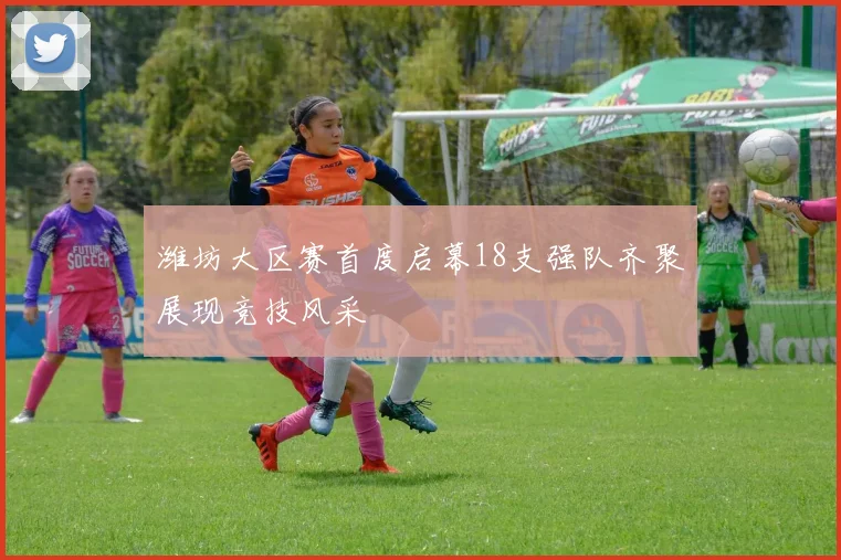 潍坊大区赛首度启幕18支强队齐聚展现竞技风采