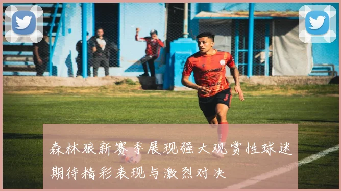 森林狼新赛季展现强大观赏性球迷期待精彩表现与激烈对决